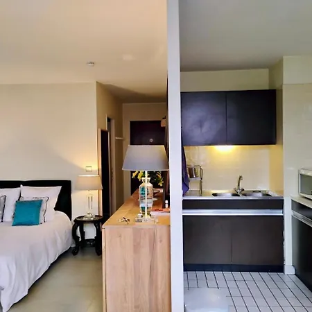 - Avec Terrasse Apartamento Burdeos